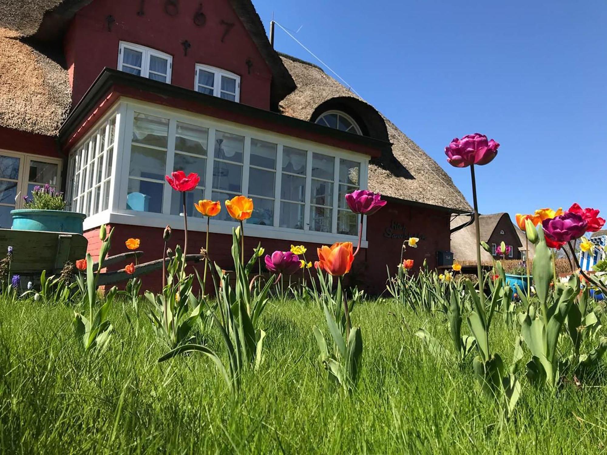 Hues Sanskiin Ferienwohnung *Goodshenk* Suddorf Eksteriør billede